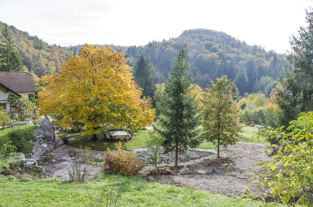Miskar Rooms Cerknica Exteriér fotografie