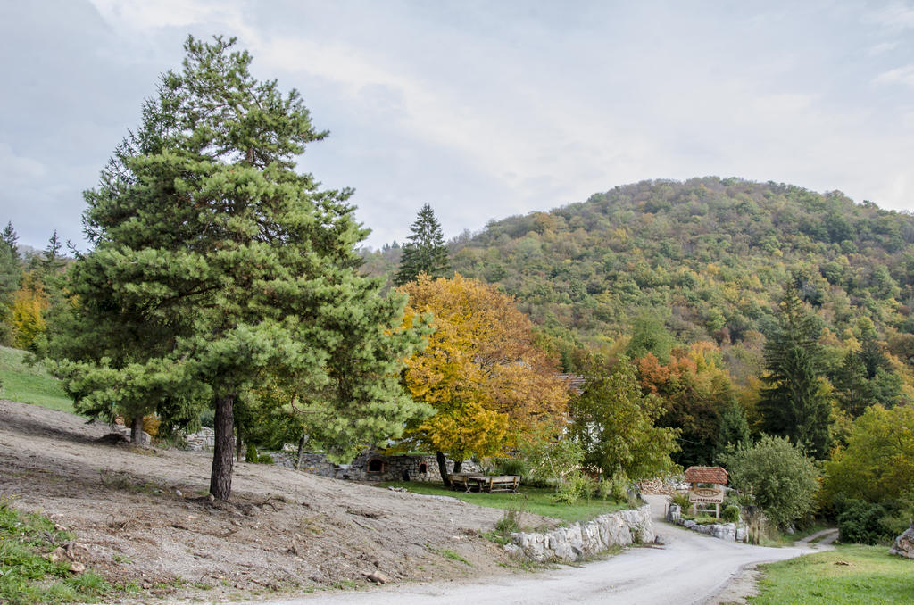 Miskar Rooms Cerknica Exteriér fotografie