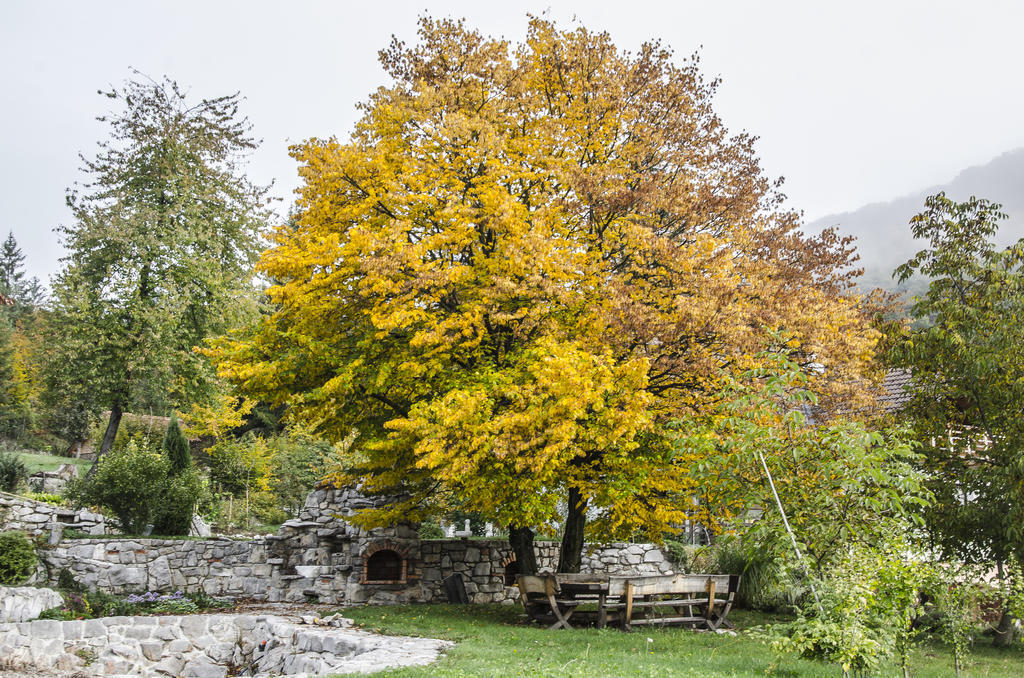 Miskar Rooms Cerknica Exteriér fotografie